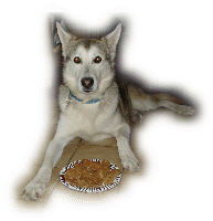 Der gut erzogene Hund kann auch mal vor einem Teller Leckerbissen liegen!